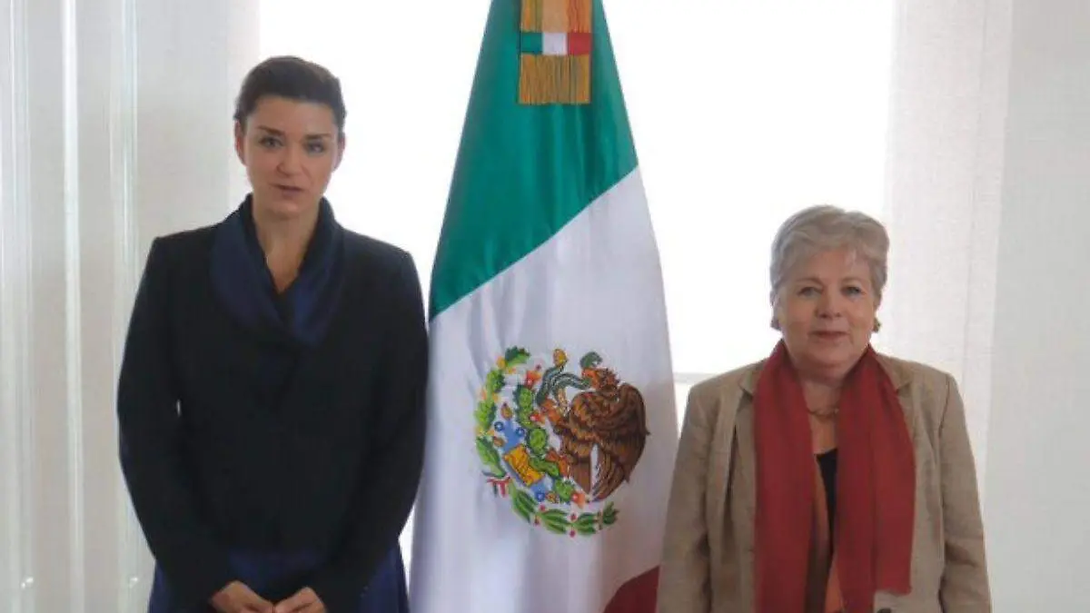 Elisa de Anda Madrazo-Alicia Bárcenas